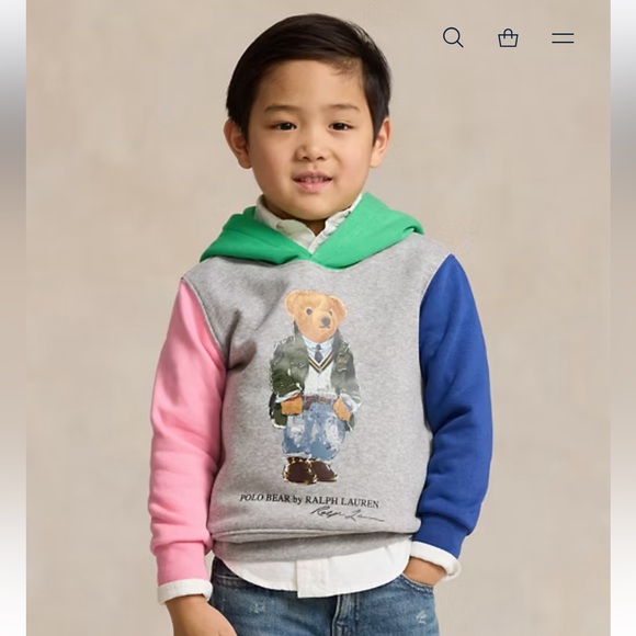 NWT Polo Ralph Lauren Boys Polo Bear Color Blocked Fleece Hoodie - Picture 1 of 13